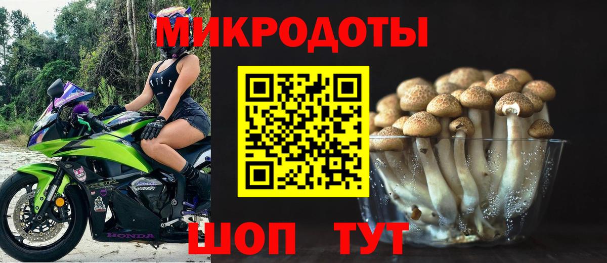 Псилоцибиновые грибы Psilocybine cubensis Междуреченск