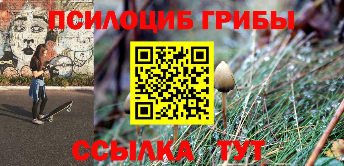 Междуреченск  Псилоцибиновые грибы Magic Shrooms  Вход с VPN 